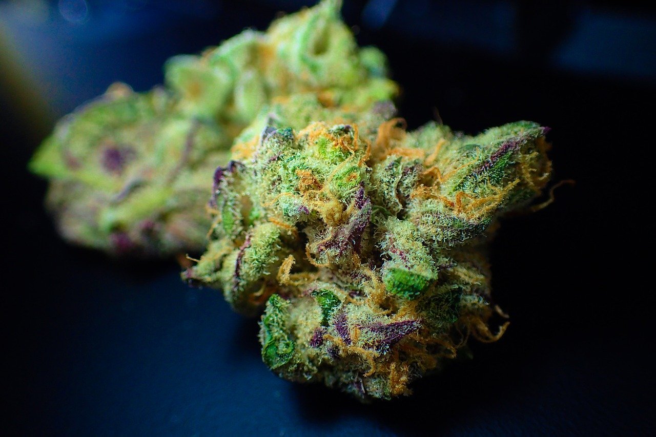 CBD Flower Has A Lot More To Offer, Know More